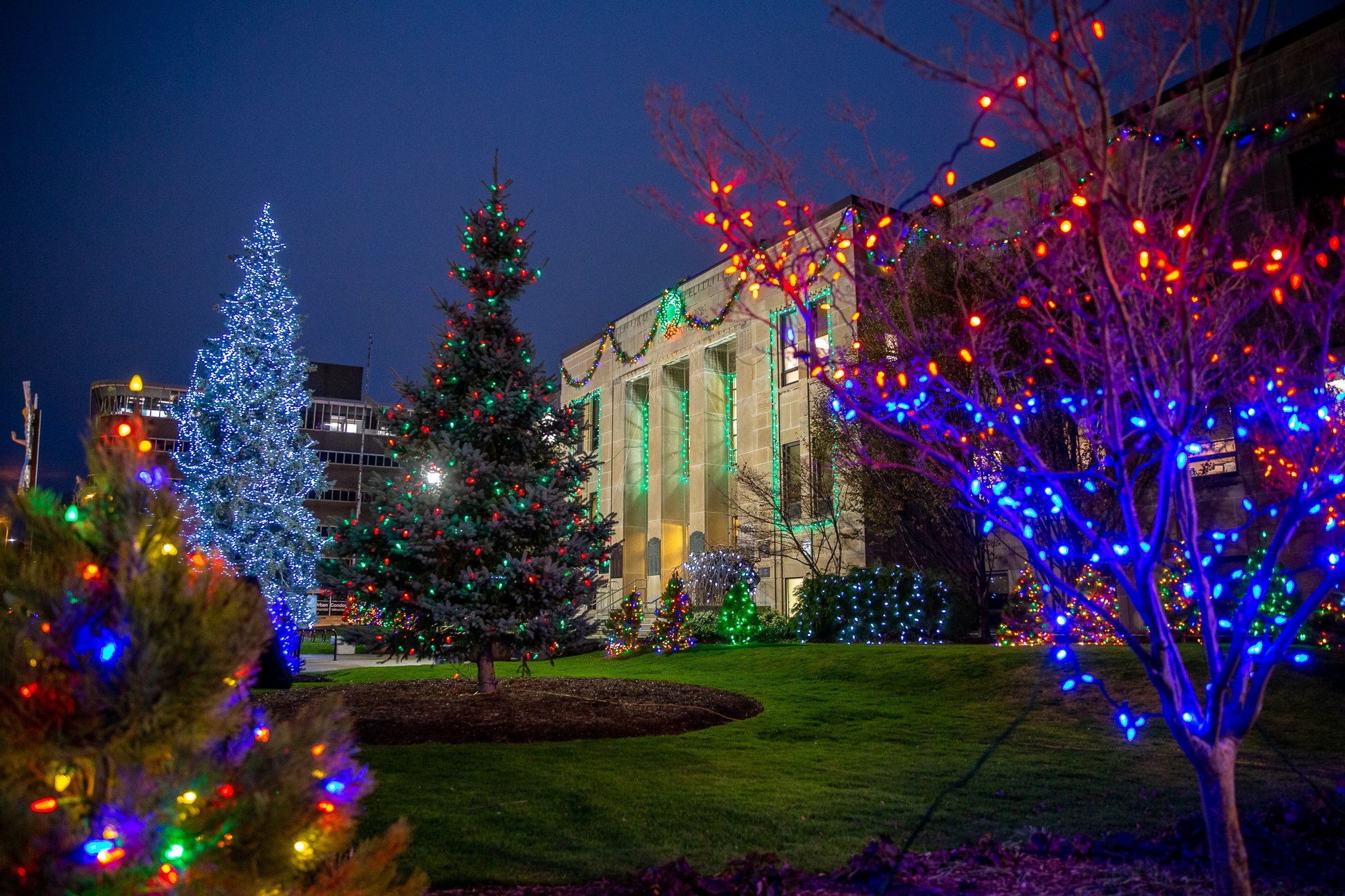 Holiday lights twinkle at night at St. Catharines City Hall.